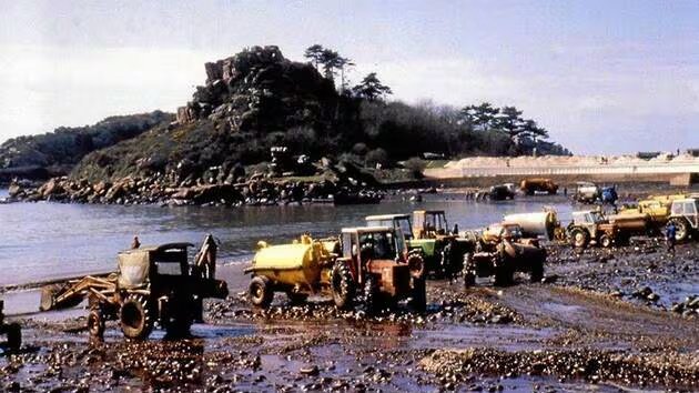 Cleanup of the Brittany coast after the Amoco Cadiz oil spill, 1978